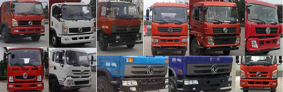 CLW5163GPSD5;G܇